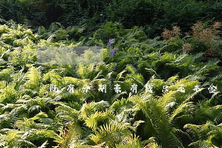 既有分期豪有钱只还本金 既有分期豪有钱只还本金