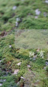 既有分期逾期10天会怎么样 既有分期逾期10天会怎么样