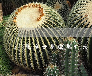 既有分期逾期9天 既有分期逾期9天