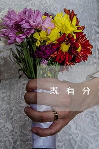 既有分期逾期两年以上的 既有分期逾期两年以上的