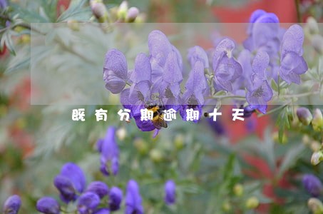 既有分期逾期十天 既有分期逾期十天