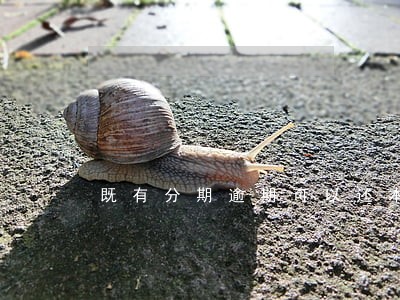 既有分期逾期可以还本金吗 既有分期逾期可以还本金吗