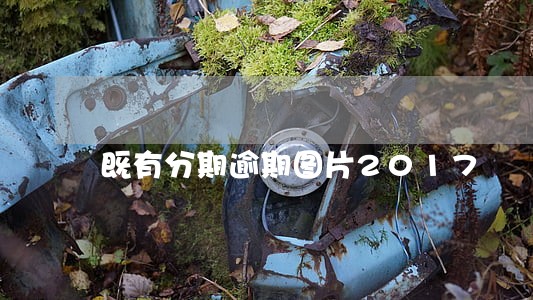 既有分期逾期图片2017 既有分期逾期图片2017