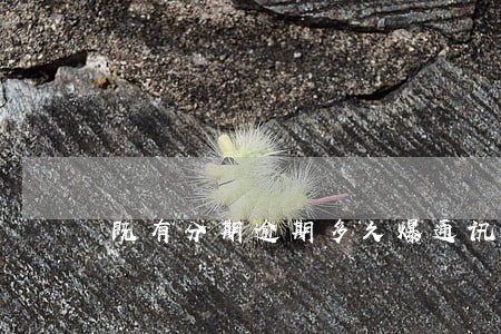既有分期逾期多久爆通讯录 既有分期逾期多久爆通讯录