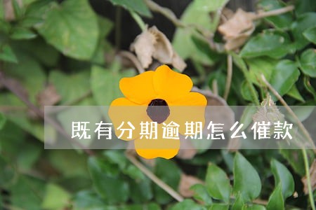 既有分期逾期怎么催款 既有分期逾期怎么催款