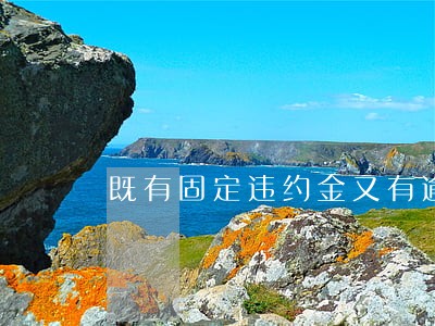 既有固定违约金又有逾期违约金 既有固定违约金又有逾期违约金