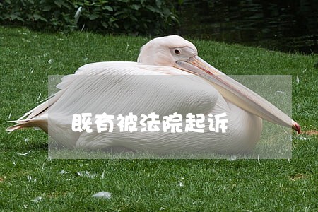 既有被法院起诉 既有被法院起诉