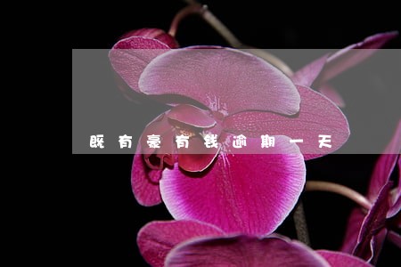 既有豪有钱逾期一天 既有豪有钱逾期一天