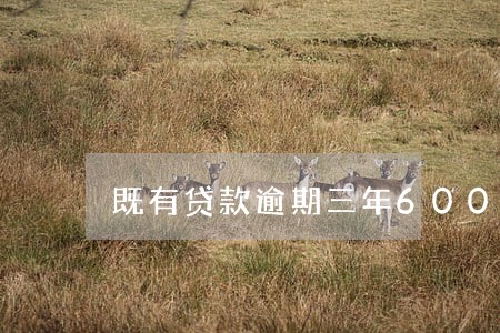 既有贷款逾期三年6000 既有贷款逾期三年6000