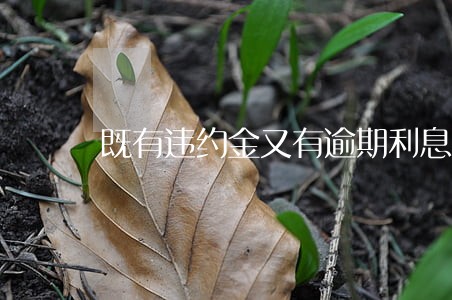 既有违约金又有逾期利息的 既有违约金又有逾期利息的
