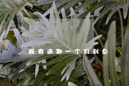 既有逾期一个月利息 既有逾期一个月利息