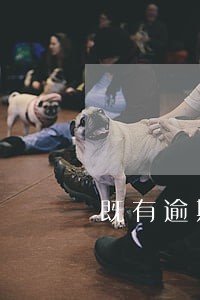 既有逾期一天的费用 既有逾期一天的费用