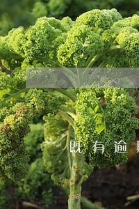 既有逾期一年多了现在叫我去开庭 既有逾期一年多了现在叫我去开庭