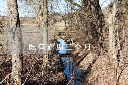 既有逾期三个月 既有逾期三个月