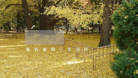 既有逾期三年没还 既有逾期三年没还