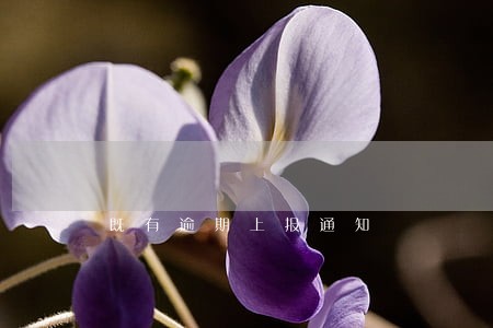 既有逾期上报通知 既有逾期上报通知