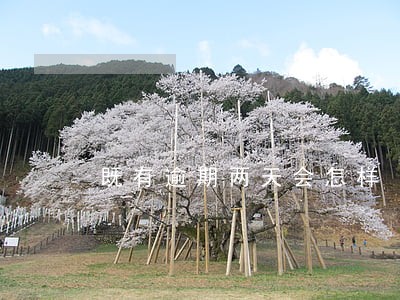 既有逾期两天会怎样 既有逾期两天会怎样