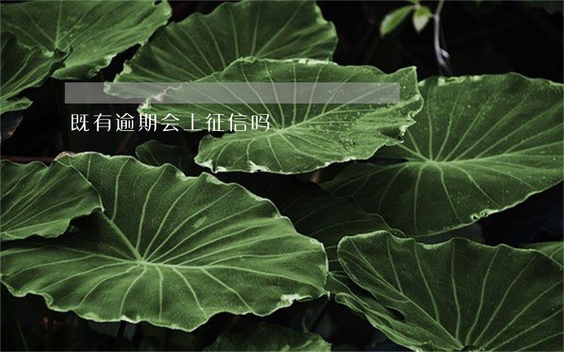 既有逾期会上征信吗
