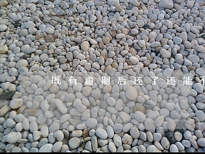 既有逾期后还了还能不能办理 既有逾期后还了还能不能办理