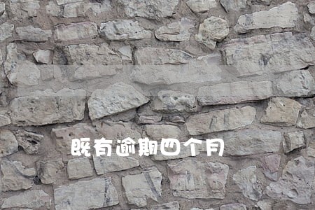 既有逾期四个月 既有逾期四个月