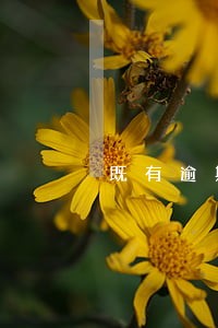 既有逾期多久爆通讯录 既有逾期多久爆通讯录