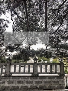 既有逾期多久电话通知 既有逾期多久电话通知