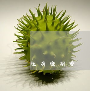既有逾期费 既有逾期费