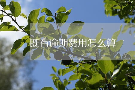 既有逾期费用怎么算 既有逾期费用怎么算