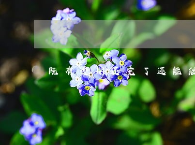 既有逾期还完了还能继续申请嘛 既有逾期还完了还能继续申请嘛