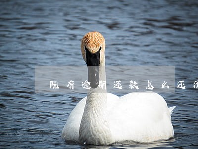 既有逾期还款怎么还清 既有逾期还款怎么还清
