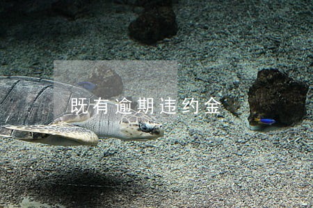 既有逾期违约金 既有逾期违约金