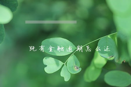既有金融逾期怎么还 既有金融逾期怎么还