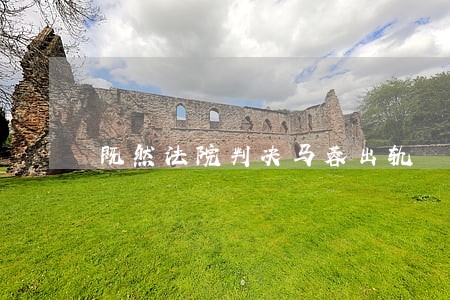 既然法院判决马蓉出轨 既然法院判决马蓉出轨