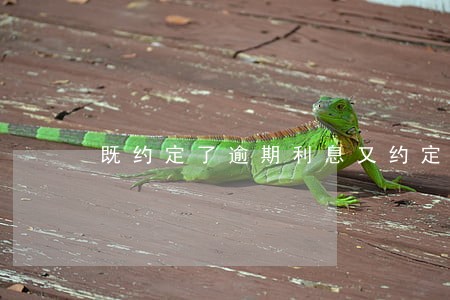 既约定了逾期利息又约定了违约金 既约定了逾期利息又约定了违约金