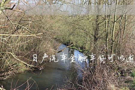 日产汽车金融车贷可以逾期几天 日产汽车金融车贷可以逾期几天
