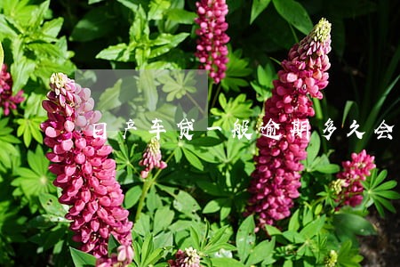 日产车贷一般逾期多久会拖车 日产车贷一般逾期多久会拖车