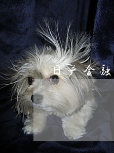 日产金融的逾期了会拖车吗