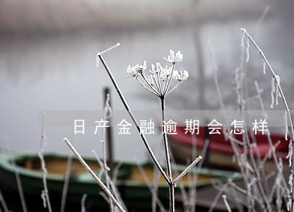 日产金融逾期会怎样 日产金融逾期会怎样