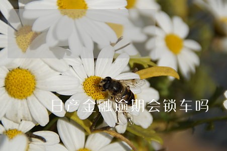 日产金融逾期会锁车吗 日产金融逾期会锁车吗