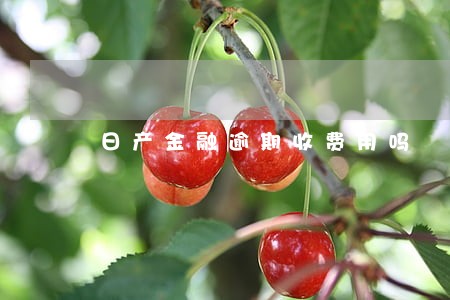 日产金融逾期收费用吗 日产金融逾期收费用吗