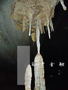 日产金融逾期费用 日产金融逾期费用