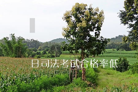 日司法考试合格率低 日司法考试合格率低