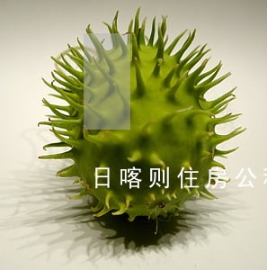 日喀则住房公积金贷款逾期 日喀则住房公积金贷款逾期