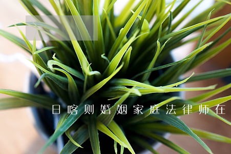 日喀则婚姻家庭法律师在线咨询 日喀则婚姻家庭法律师在线咨询