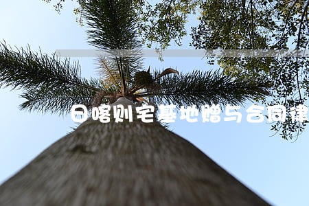 日喀则宅基地赠与合同律师 日喀则宅基地赠与合同律师