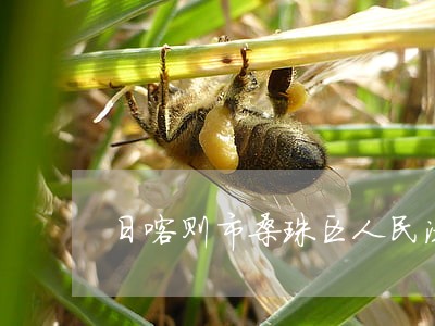 日喀则市桑珠区人民法院庭审直播 日喀则市桑珠区人民法院庭审直播