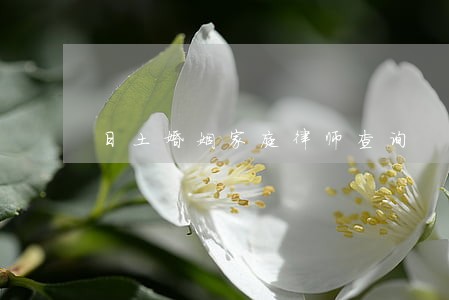 日土婚姻家庭律师查询 日土婚姻家庭律师查询