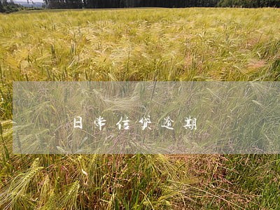 日常信贷逾期 日常信贷逾期