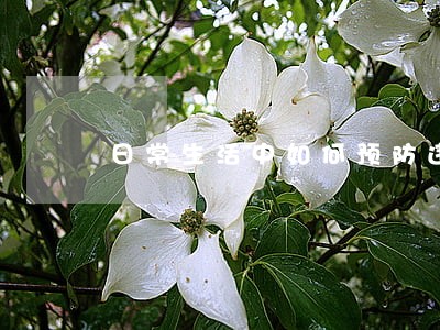 日常生活中如何预防违法犯罪