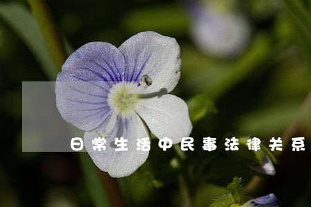 日常生活中民事法律关系举例